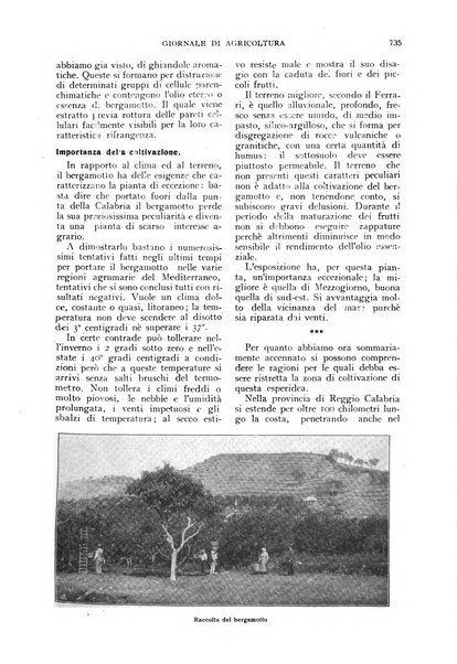 L'Italia agricola