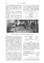 giornale/UM10003065/1928/unico/00000806