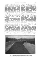 giornale/UM10003065/1928/unico/00000827