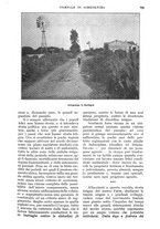 giornale/UM10003065/1928/unico/00000831