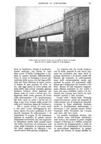 giornale/UM10003065/1928/unico/00000845