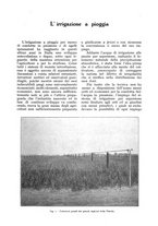 giornale/UM10003065/1928/unico/00000915