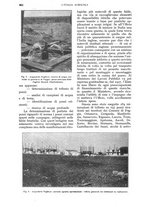 giornale/UM10003065/1928/unico/00000958