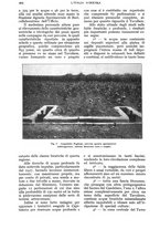 giornale/UM10003065/1928/unico/00000960