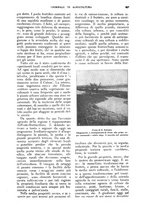 giornale/UM10003065/1928/unico/00000997