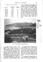 giornale/UM10003065/1928/unico/00001041