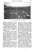 giornale/UM10003065/1928/unico/00001043