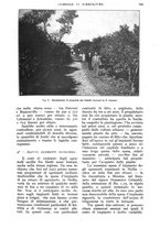 giornale/UM10003065/1928/unico/00001049