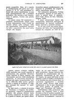 giornale/UM10003065/1928/unico/00001081