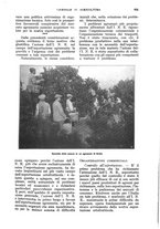 giornale/UM10003065/1928/unico/00001083