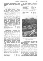 giornale/UM10003065/1928/unico/00001099