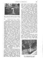 giornale/UM10003065/1928/unico/00001101