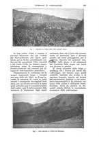 giornale/UM10003065/1928/unico/00001107