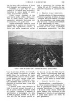 giornale/UM10003065/1928/unico/00001139