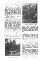 giornale/UM10003065/1928/unico/00001147