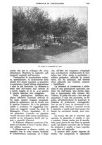 giornale/UM10003065/1928/unico/00001149