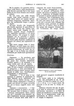 giornale/UM10003065/1928/unico/00001155