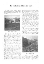 giornale/UM10003065/1928/unico/00001165