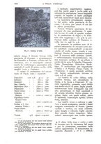 giornale/UM10003065/1928/unico/00001166