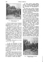 giornale/UM10003065/1928/unico/00001168