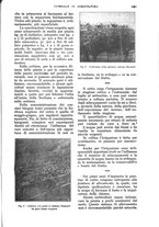 giornale/UM10003065/1928/unico/00001169