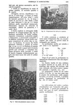 giornale/UM10003065/1928/unico/00001173