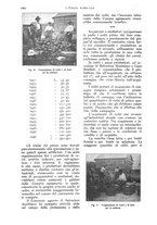 giornale/UM10003065/1928/unico/00001174