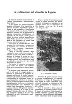 giornale/UM10003065/1928/unico/00001177