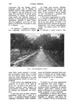 giornale/UM10003065/1928/unico/00001178