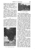 giornale/UM10003065/1928/unico/00001179