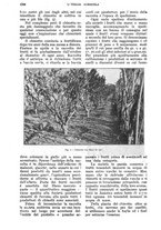 giornale/UM10003065/1928/unico/00001180