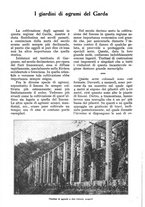 giornale/UM10003065/1928/unico/00001182