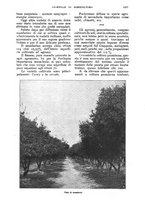 giornale/UM10003065/1928/unico/00001189