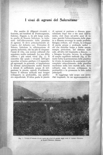 L'Italia agricola