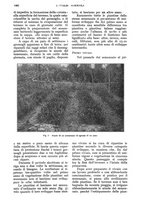 giornale/UM10003065/1928/unico/00001194