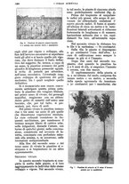 giornale/UM10003065/1928/unico/00001196