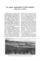 giornale/UM10003065/1930/unico/00000043