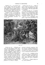 giornale/UM10003065/1930/unico/00000053