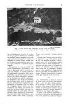 giornale/UM10003065/1930/unico/00000057