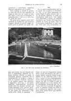 giornale/UM10003065/1930/unico/00000059