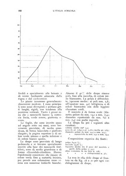 L'Italia agricola