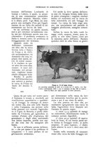 giornale/UM10003065/1930/unico/00000217