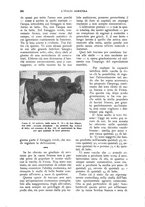 giornale/UM10003065/1930/unico/00000218