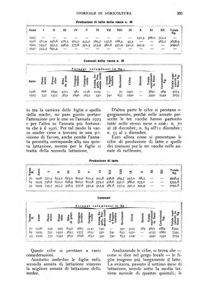 L'Italia agricola