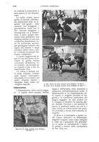 giornale/UM10003065/1930/unico/00000252