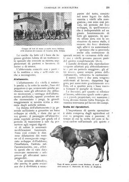 L'Italia agricola