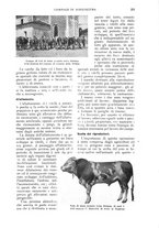 giornale/UM10003065/1930/unico/00000253