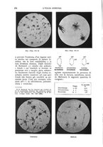 giornale/UM10003065/1930/unico/00000300