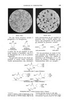 giornale/UM10003065/1930/unico/00000301