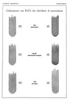 giornale/UM10003065/1930/unico/00000303